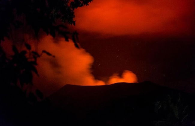 Castle Tree House - Photo 13