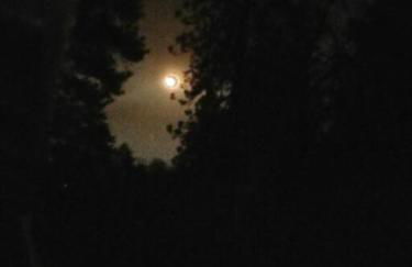 O'Brien's Oasis - Foto 26