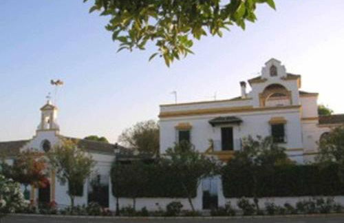 Renovación total post-covid Netflix, Piscina - Foto 36