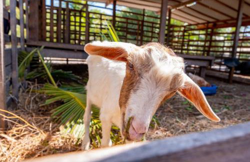 Refugios Parajuru - Casa Inge - Photo 37