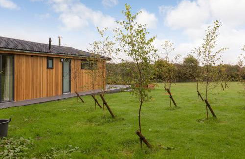 Cedar Lodge - Foto 19