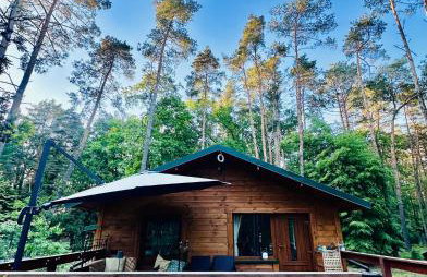 Urocza chatka w lesie nad wodą - Foto 1