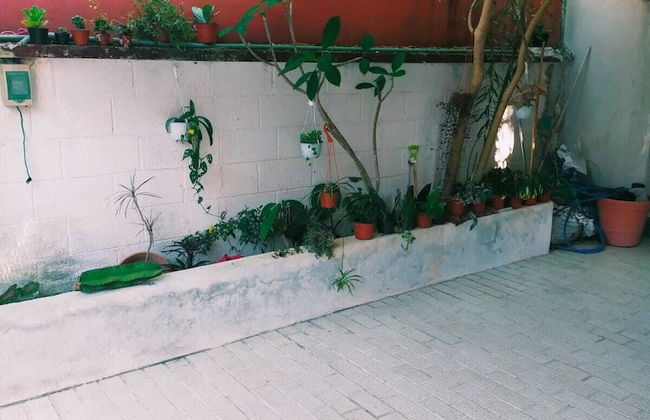 Casa Soliman & Loft Soliman - Foto 43