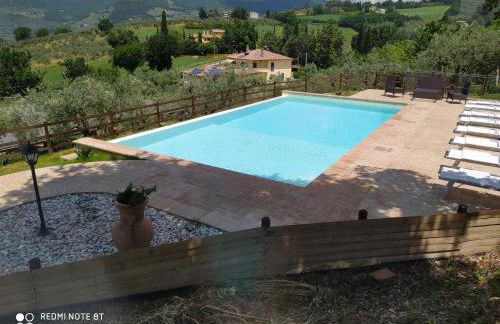 Azienda Agrituristica Il Moraiolo - Photo 6