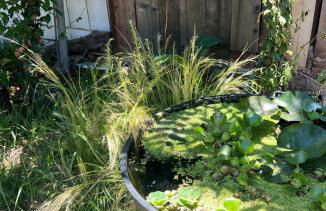 Urban Luxe Retreat l King Bed l Kitchenette - Photo 39