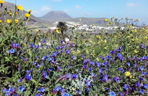 Casa Jasmin Haria - Foto 12