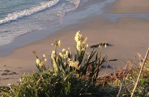 Appartement L'Embarcadère - Photo 60
