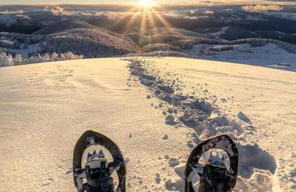 Attico Stella Alpina - Foto 40