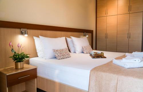 Arisvi All Seasons Hotel - Foto 11