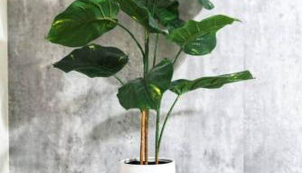 Hill Country Haven: Gateway to TXST and San Marcos - Foto 5