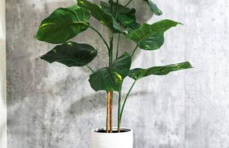 Hill Country Haven: Gateway to TXST and San Marcos - Foto 5