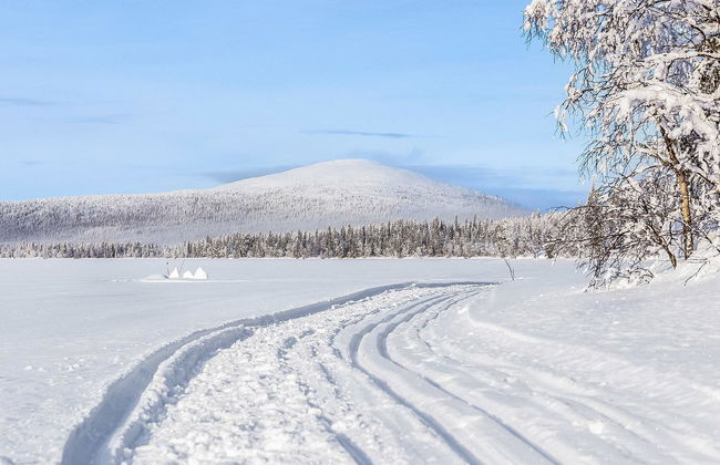 Lappi dream house - Foto 30