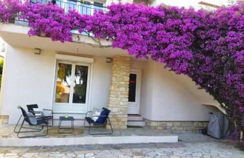 bougainvilliers - Foto 1