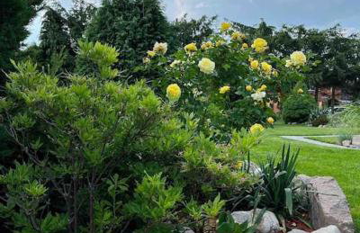 Domek w Karkonoszach - Foto 24