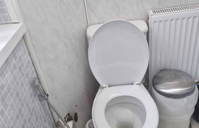 Alexandra Palace 3 Bedrooms Apartment in London - Foto 19