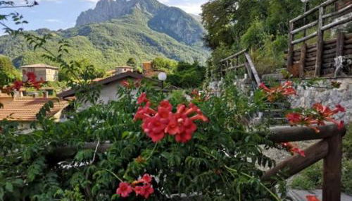 Agriturismo La Calamaia - Foto 2