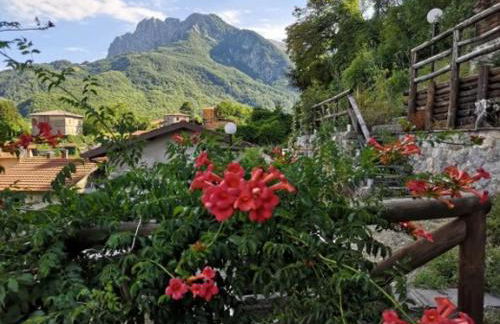 Agriturismo La Calamaia - Foto 2