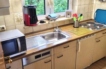 Bärenklau - Foto 22