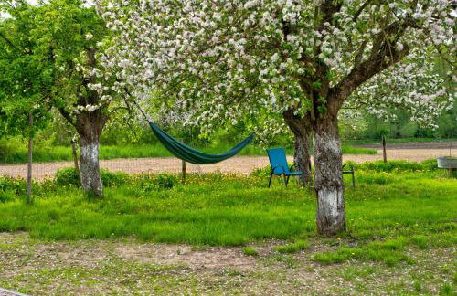 Brzozowy Zakątek-Brzozowa Bania - Foto 29