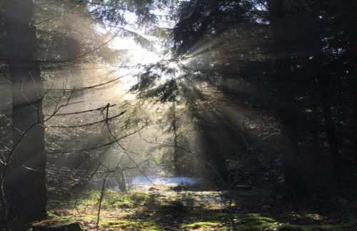 Hill-view Holiday Home in Dankerode near Lake and Hiking - Foto 35