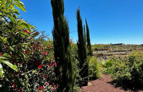 Private Studio & terrace, pool - Foto 38