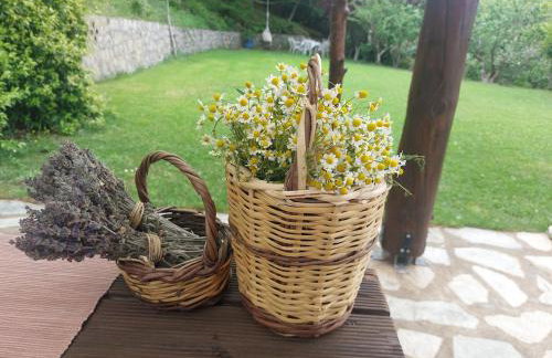 Ipati Forest Chalet - Foto 35