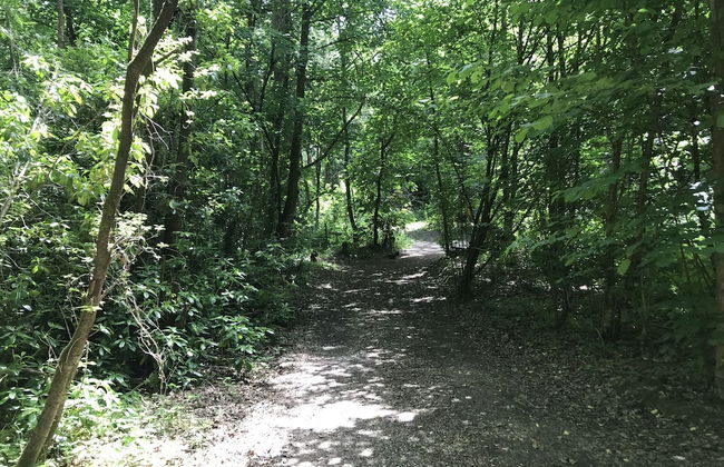 Private and Secluded Cabin in Rowfant - Foto 21