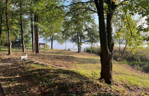 Gold Pearl Zegrze - Foto 49