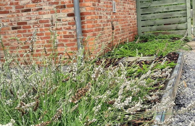 Herselt Garden Shed Retreat - Foto 28