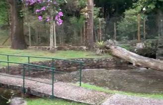 Chalé Banho de Floresta Atibaia Clube de Montanha - Foto 52