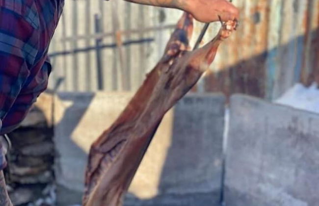 Estancia Bonanza - Foto 60