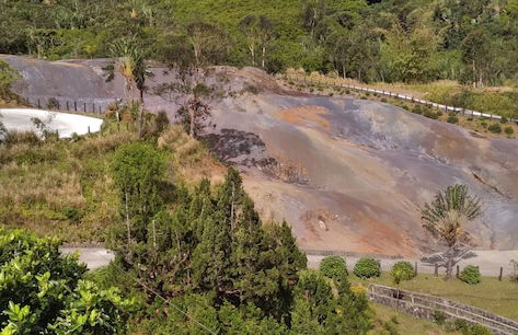 Paradise Resting Home - Photo 19