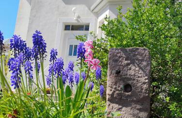 Gîte Le Marronnier, parking et terrasse au calme, entre Colmar-Riquewihr et Obernai, vue sur espaces verts et coteaux d Alsace, route du vin-châteaux - Foto 70