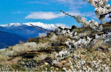 CASA BRIGIDA - Foto 41