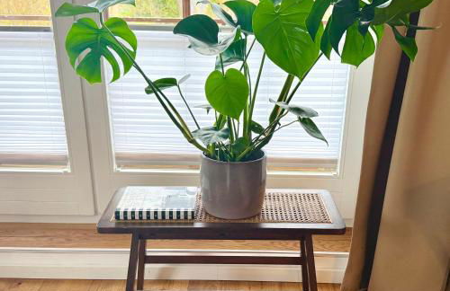 HAPPY PLACE mit Sonnen-Balkon und Stellplatz nur 400 m zum Strand - Foto 10