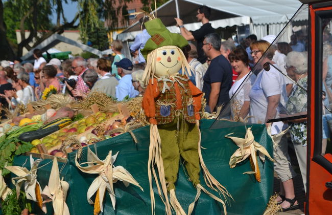 pur NATUR & berlin ALEX 40min. - Foto 21