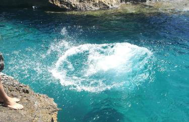 Villa Olga - Foto 67