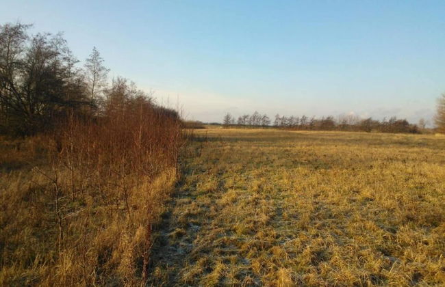 Tranquil Seaside Haven-by Traum - Foto 13