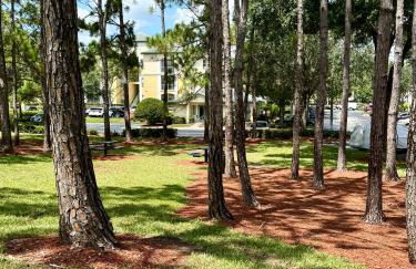 Wonderful apt remodeled in November near Disney - Foto 72