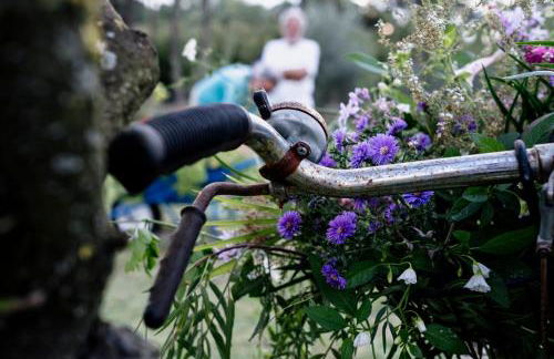 La Casa Dei Fiori - Foto 29