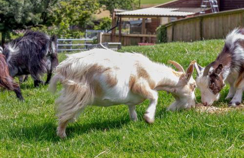 Caner Bach Lodge - Foto 36