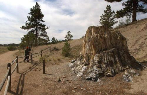 Modern A-frame w/ hot tub + view - Foto 61