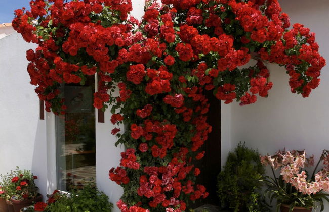 Cozy Cottage in Ronda With Swimming Pool - Foto 13