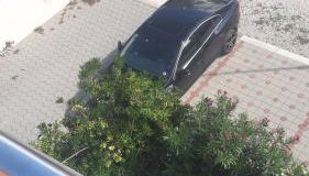 Marina & Luka - Foto 4