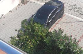 Marina & Luka - Foto 4