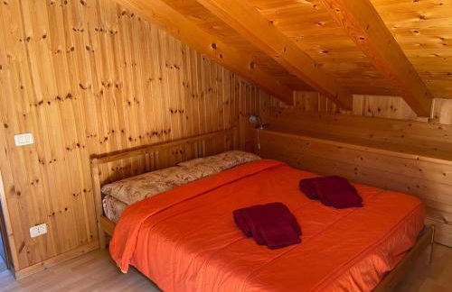 Le porte dell'agordino - Photo 5