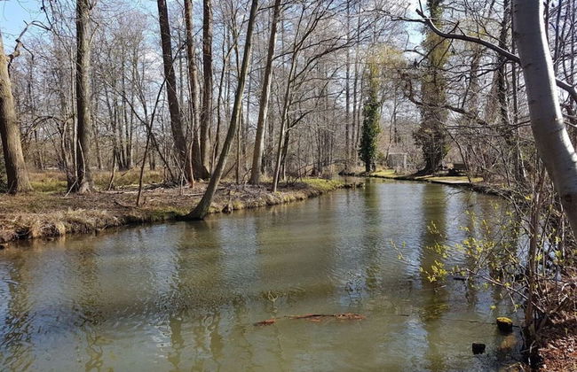 Holiday Home Kupa Comfortable Vacation Home - Foto 11