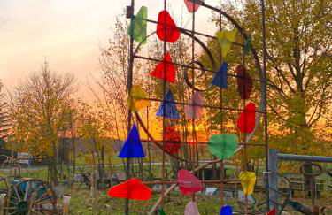 Himmelreich Rügen - Foto 60