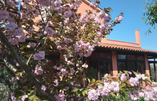 la casa di Rosa - Foto 46