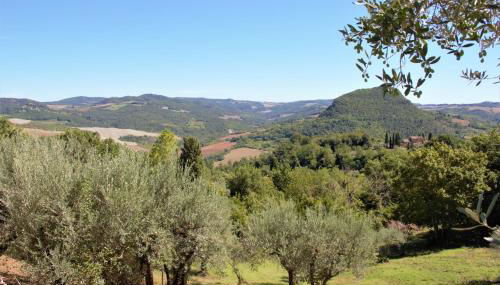 Casa Vista della Roccia - Foto 4, Garden